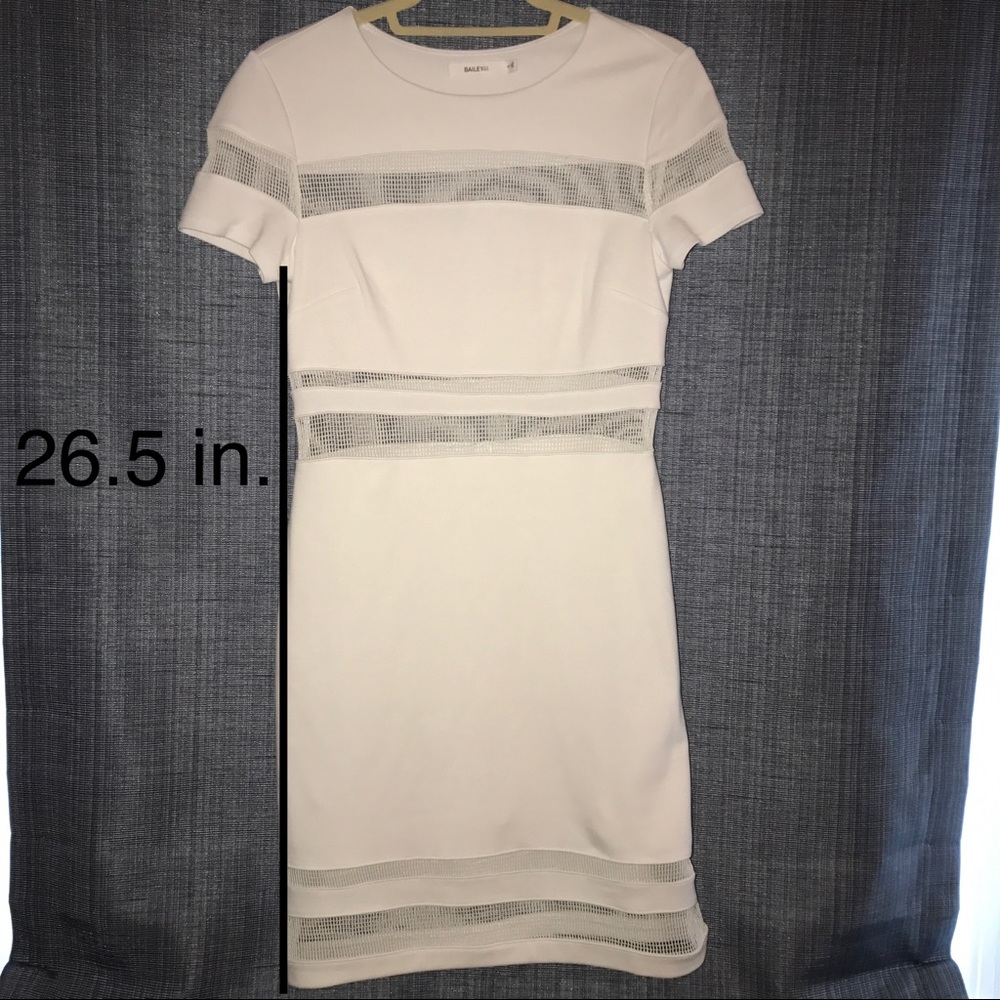 White Bailey 44 Mesh Dress